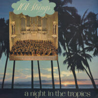 Album cover of A Night in the Tropics by 101 Strings