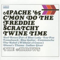 Album cover of Apache 65 by The Arrows featuring Davie Allen