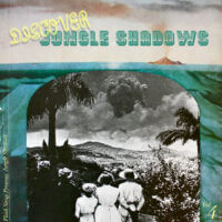 Album cover of Jungle Shadows IV (Flash Strap Mix) by Various Artists