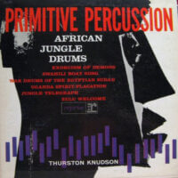 Album cover of Primitive Percussion by Thurston Knudson