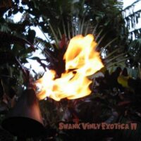 Album cover of Swank Vinyl Exotica II by Various Artists
