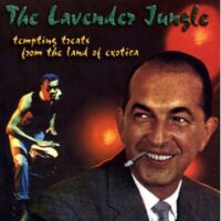 Album cover of The Lavender Jungle (Mix) by Various Artists