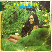 Album cover of The Polynesian Suite by Jerry Byrd