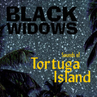 Album cover for Sounds of Tortuga Island