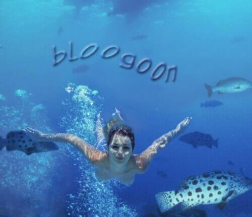 Bloogoon 1