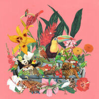 Album cover of Castaways Vol. 1 by Monster Rally