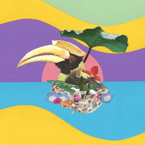 Album cover of Flowering Jungle by Monster Rally