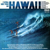 Album cover of I Will See You In Hawaii by Various Artists