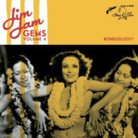 Album cover of Jim Jam Gems Volume 4: Bongology! by Various Artists