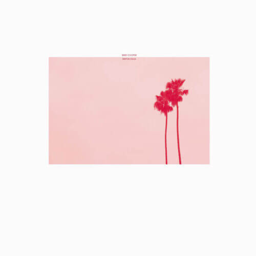 Album cover for Rayon Hula (15th Anniversary)