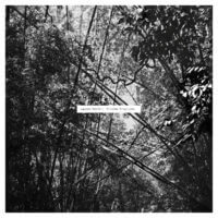 Album cover for Tristes Tropiques