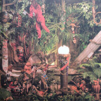 Album cover of Wet Dry Jungala by Million Brazilians