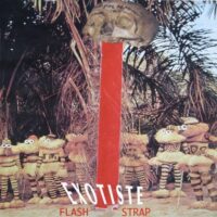 Album cover of Exotiste (Flash Strap Mix) by Various Artists