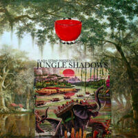 Album cover of Jungle Shadows I (Flash Strap Mix) by Various Artists