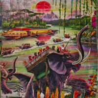 Album cover of Jungle Shadows II (Flash Strap Mix) by Various Artists