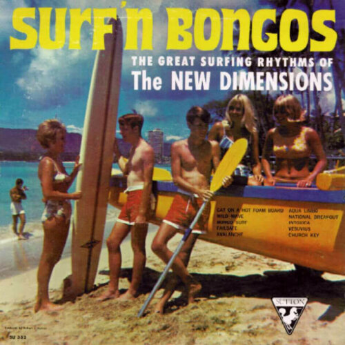 Album cover of Surf'n Bongos by The New Dimensions