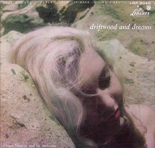 Album cover for Driftwood and Dreams