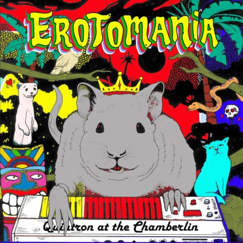 Album cover for Erotomania