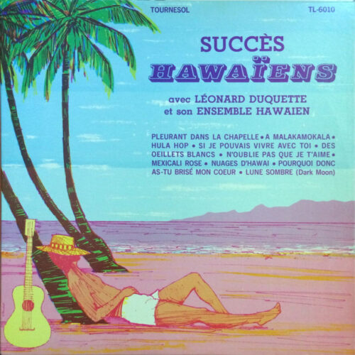 Album cover for Succes Hawaiens