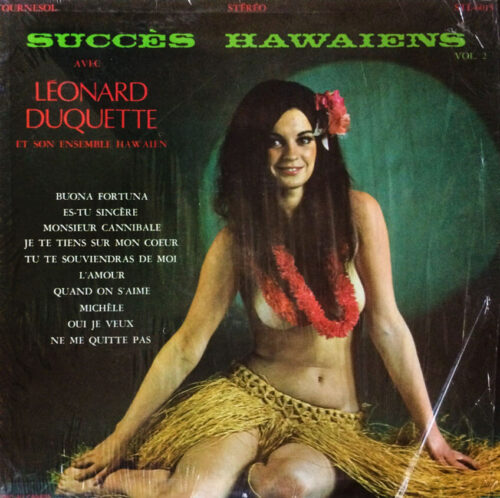 Album cover for Succes Hawaiens Vol 2