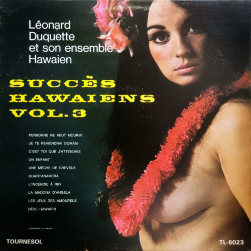 Album cover for Succes Hawaiens Vol 3