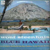 Album cover of Blue Hawaii by Wout Steenhuis
