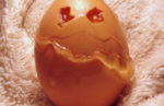 Monster Egg
