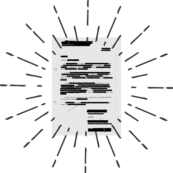 Redacted Document Gold